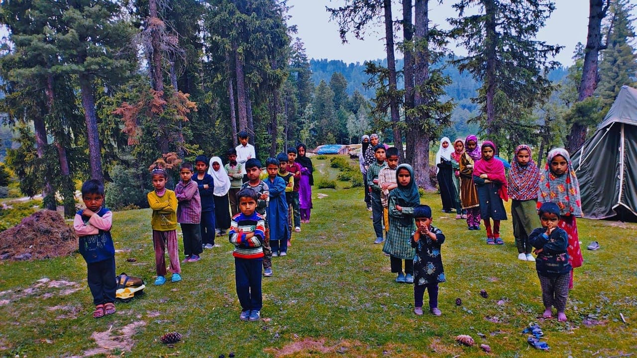 A group of children standing on a green meadow among tall pine trees at a highland camp